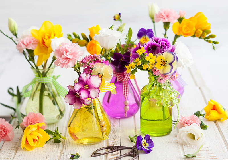 flowers flowers  / beloved flowers